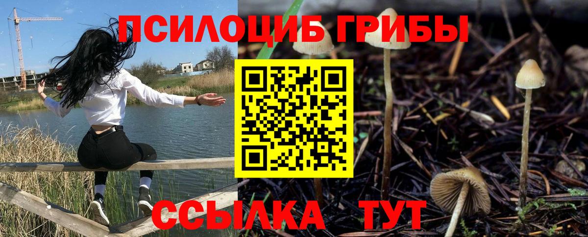 Псилоцибиновые грибы мухоморы  Вход с VPN  Галлюциногенные грибы прущие грибы  цены   Раменское 